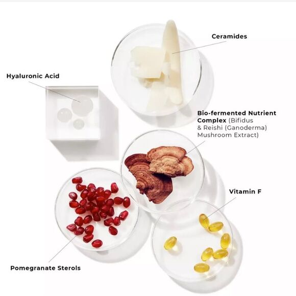 NEW BeautyStat Universal Pro-Bio Moisture Boost Cream - Picture 4 of 4